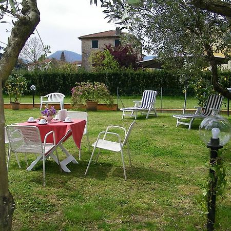Triolivo B&B Lucca Exteriör bild
