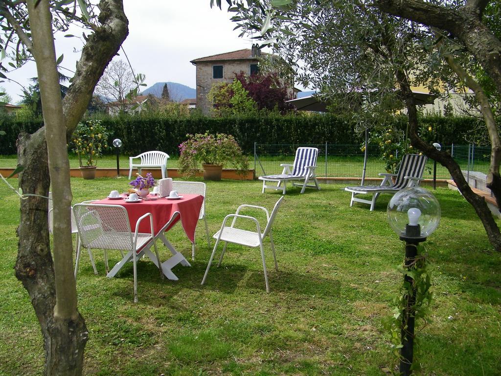 Triolivo B&B Lucca Exteriör bild